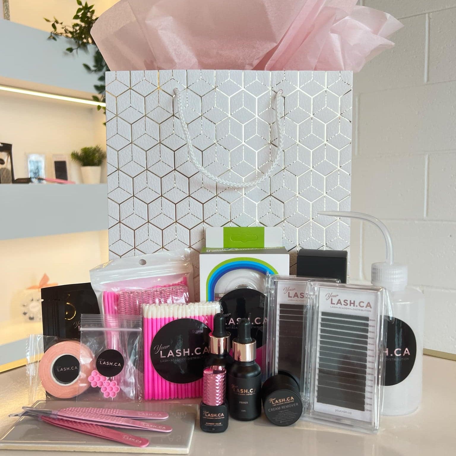 YourLash Products